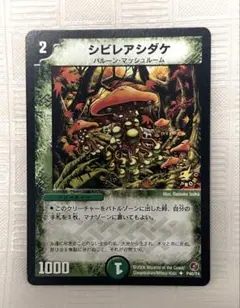 メルカリ便　シビレアシダケ　プロモ　初期枠　旧枠　4枚 2026年最新】シビレアシダケ プロモの人気アイテム - メルカリ
