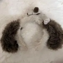 Item thumbnail for item e1361080-3d77-4abc-b3ea-3901af470db8