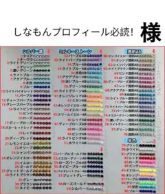 しなもんプロフィール必読！　様　専用