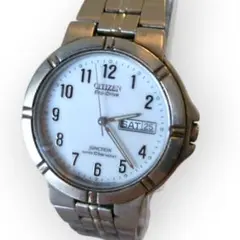 CITIZEN シチズン Eco-Drive junction GN-4W-S