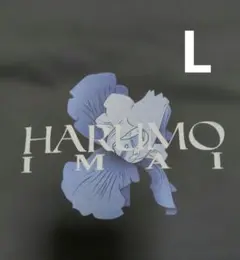 Item thumbnail for item 2e67307f-67cb-4333-b1c6-501b8ed336d9