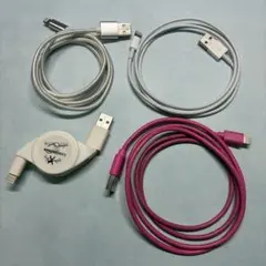Apple iPhone iPad Lightingケーブルまとめ売り