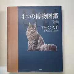 Item thumbnail for item d45fd2eb-0ea9-437b-b153-59a05d553636