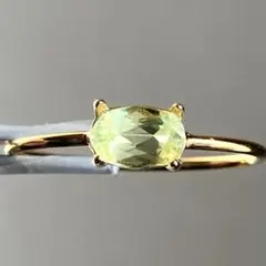 花サボテン様 リクエスト 2点 まとめ商品