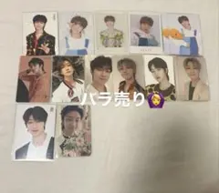 SEVENTEEN THE8 ミョンホ 過去トレカ まとめ売り