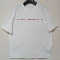 Calvin Kleinカルバンクライン新品未使用Tシャツ半袖フロントロゴ白色L