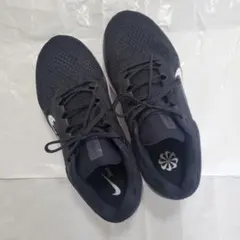 NIKE エア ウィンフロー 11 ワイド 28.5cm