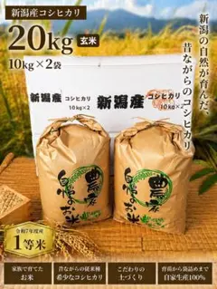 2026年最新】【家計お助け米】米 10kgの人気アイテム - メルカリ