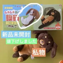 ムキムキ動く！腹筋あにまるず ～わんこ～ (左の茶白の方)のサムネイル