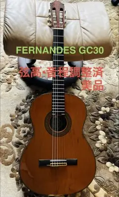 2026年最新】FERNANDES GC 20の人気アイテム - メルカリ