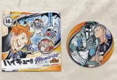 ハイキュー!! コレクション缶バッジメモリーズ第3弾【田中龍之介】