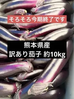 熊本県産 訳あり茄子 約10kg 4000円 - メルカリ