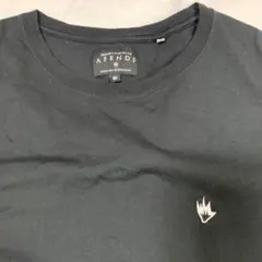 Item thumbnail for item ed3c8343-3d91-4473-832d-f6a34ccc070d