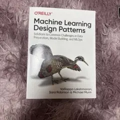 Machine Learning Design Patterns