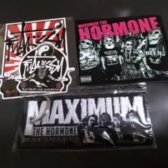 MAXIMUM THE HORMONE キーホルダー 刺繍タグとステッカー３枚 2026年最新】マキシマムザホルモンキーホルダーの人気アイテム - メルカリ