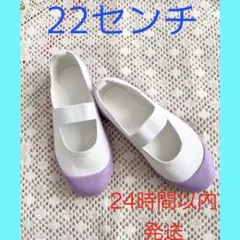 パステルカラー上靴　上履き　22.0センチ　紫　パープル　ラベンダー