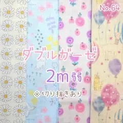 Item thumbnail for item 8458b75c-f792-4605-8027-86d07e07b07c