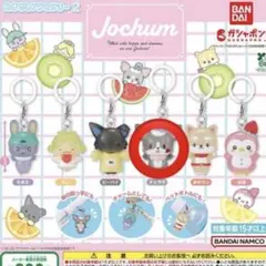 JOCHUM めじるしアクセサリー