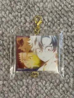 鬼滅の刃 不死川実弥 玄弥 幼少期 柱展 柱百景 絆アクリルチャーム