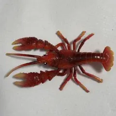 Item thumbnail for item b63d82c4-9d87-4d58-a429-75fb837e08c6