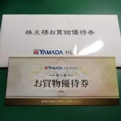 ヤマダ電機 株主優待券（お買い物優待券）5000円分【2026年6月末日まで】