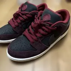 Nike SB Dunk Low コラボ物 26cm