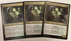 MTG Witherbloom Apprentice 英語版 3枚
