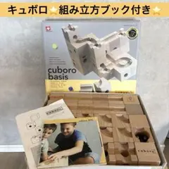 【正規輸入品】キュボロ　ベーシス　cuboro basis 説明書ありのサムネイル