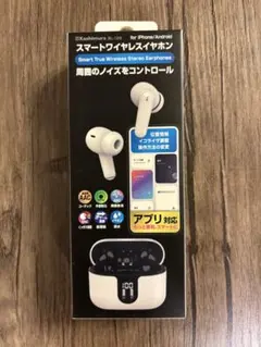 カシムラ BL-126 ワイヤレスイヤホン ANC/AAC/防水のサムネイル