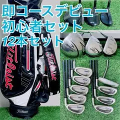タイトリスト 初心者オススメ ゴルフクラブ メンズセット 右利き A4102のサムネイル