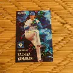 2025年プロ野球チップス スターカードセット