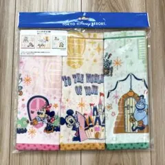 ディズニー　ランド　ミニタオル　セット　3枚入り