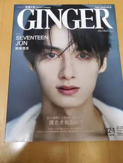 2026年最新】ginger seventeenの人気アイテム - メルカリ