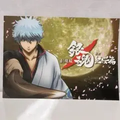 劇場版 銀魂 新訳紅桜篇 パンフレットのサムネイル