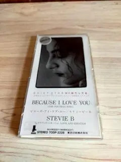 Stevie B　「 Because I Love You」シングル CD