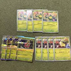 スボミー　チコリータ　メガニウム　ポケモンカード