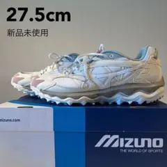 永井博 × ミズノ ウェーブライダー ベータ 26cm D1GA241001 - メルカリ