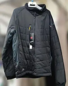 Item thumbnail for item 86692137-2671-4861-9b8d-1c20970a99cf