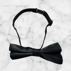 Item thumbnail for item d362c43c-a95f-4ff7-a518-dbe76504f7e5