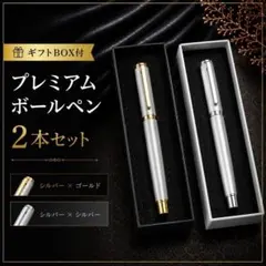 Cセット【ギフトBOX付】プレミアムボールペン シルバー 2本セットのサムネイル