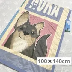 新品 ドベとノラ DOBE TO NORA ブランケット ヨシモフ郎