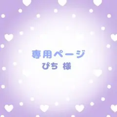 ぴち 様専用ページ
