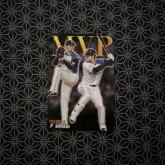 カルビー プロ野球カード 大谷翔平 MVP タイトルホルダー