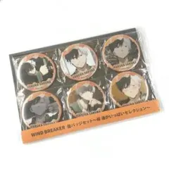 WIND BREAKER 桜遥がいっぱいセレクション 缶バッジ セット