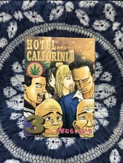 2026年最新】ホテル・カリフォリニアの人気アイテム - メルカリ