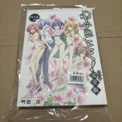ハヤテのごとく！ 同人誌 完全版 27