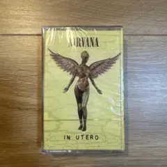 NIRVANA IN UTERO アナログレコード 45回転 - メルカリ