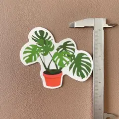 No.592 ガーデニングイラスト 防水ステッカー シール 観葉植物モンステラ