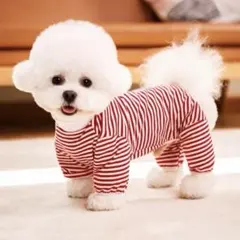 【新品】 NyyGlykys 犬服 ロンパース ボーダー レッド Sのサムネイル