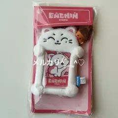 チャウヌ ELSE POP-UP 韓国 レザーホルダー キーリング トレカ付き